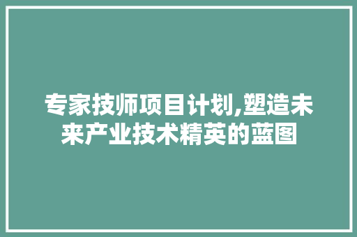 专家技师项目计划,塑造未来产业技术精英的蓝图