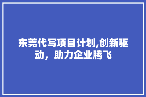 东莞代写项目计划,创新驱动，助力企业腾飞 申请书范文