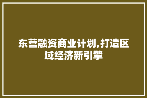 东营融资商业计划,打造区域经济新引擎