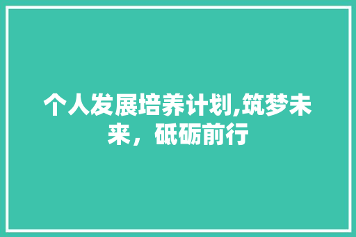 个人发展培养计划,筑梦未来，砥砺前行