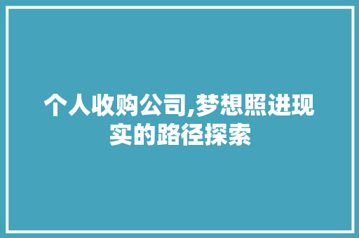 个人收购公司,梦想照进现实的路径探索