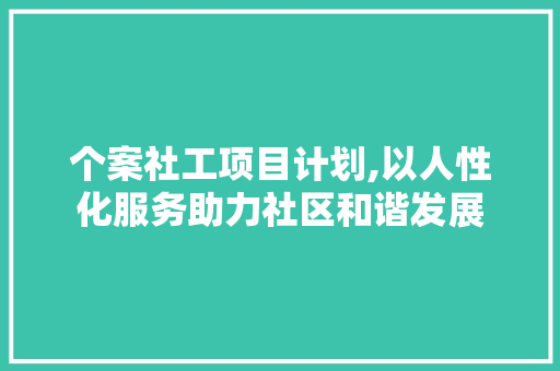 个案社工项目计划,以人性化服务助力社区和谐发展