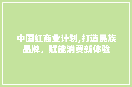 中国红商业计划,打造民族品牌，赋能消费新体验