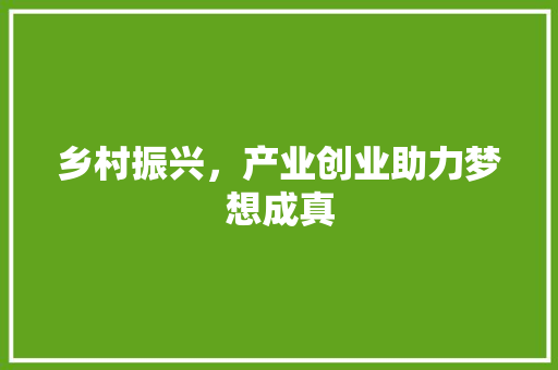 乡村振兴，产业创业助力梦想成真