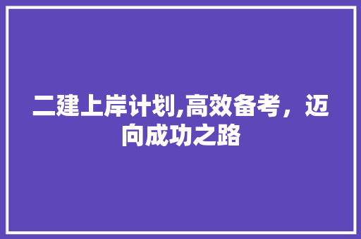 二建上岸计划,高效备考，迈向成功之路