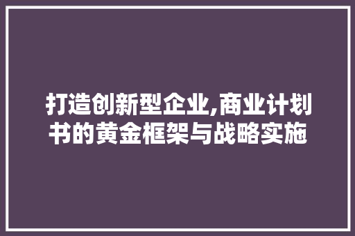 打造创新型企业,商业计划书的黄金框架与战略实施