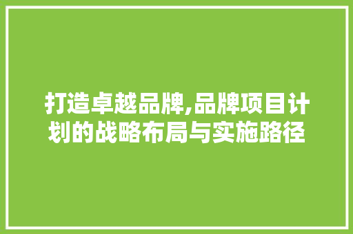 打造卓越品牌,品牌项目计划的战略布局与实施路径