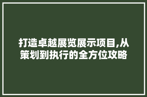 打造卓越展览展示项目,从策划到执行的全方位攻略