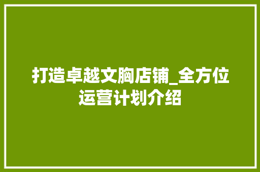 打造卓越文胸店铺_全方位运营计划介绍