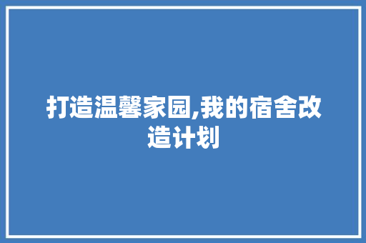 打造温馨家园,我的宿舍改造计划