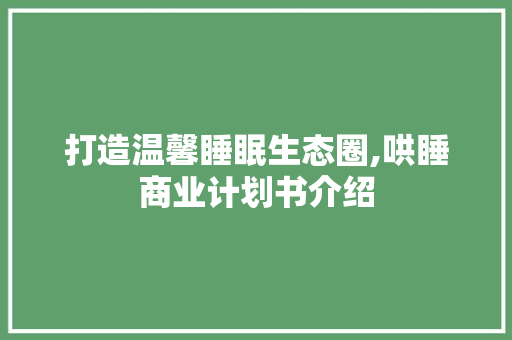 打造温馨睡眠生态圈,哄睡商业计划书介绍