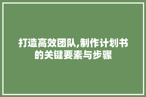 打造高效团队,制作计划书的关键要素与步骤