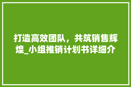 打造高效团队，共筑销售辉煌_小组推销计划书详细介绍