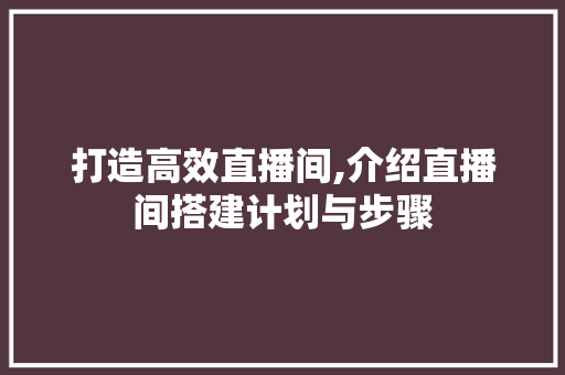 打造高效直播间,介绍直播间搭建计划与步骤