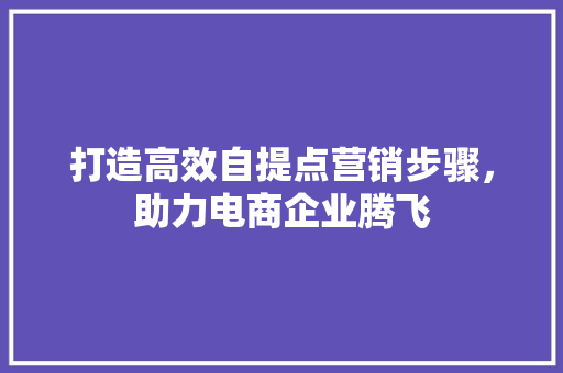 打造高效自提点营销步骤，助力电商企业腾飞