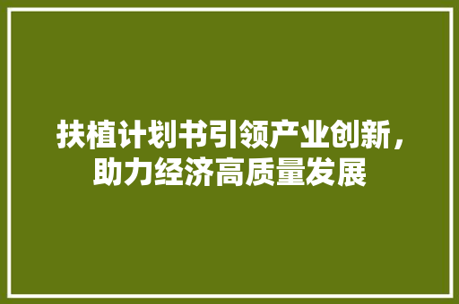 扶植计划书引领产业创新，助力经济高质量发展