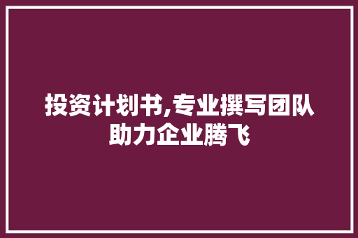 投资计划书,专业撰写团队助力企业腾飞