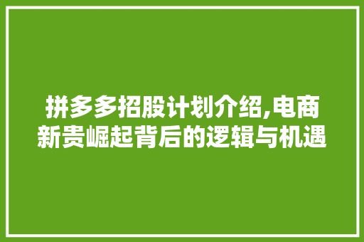 拼多多招股计划介绍,电商新贵崛起背后的逻辑与机遇