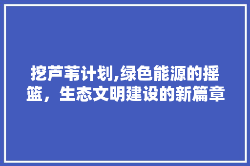 挖芦苇计划,绿色能源的摇篮，生态文明建设的新篇章