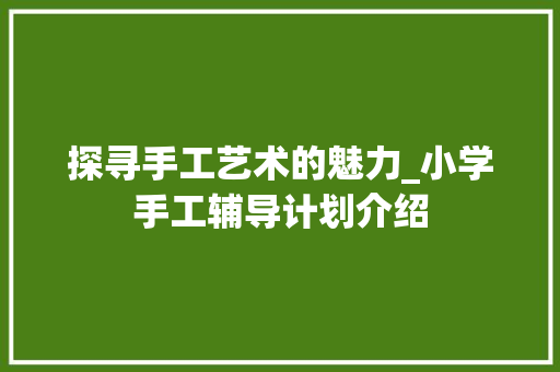 探寻手工艺术的魅力_小学手工辅导计划介绍