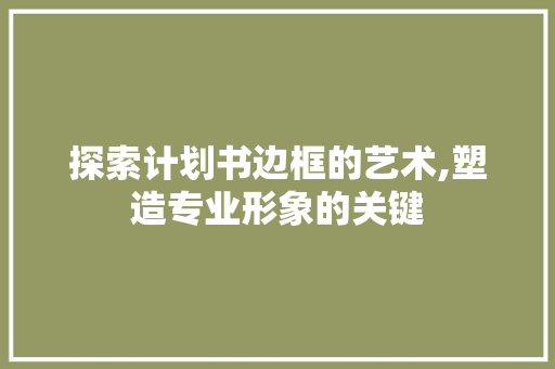 探索计划书边框的艺术,塑造专业形象的关键