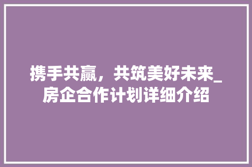 携手共赢，共筑美好未来_房企合作计划详细介绍