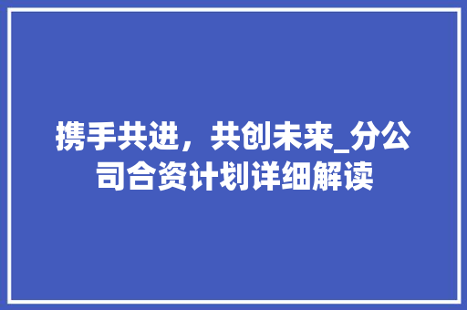 携手共进，共创未来_分公司合资计划详细解读