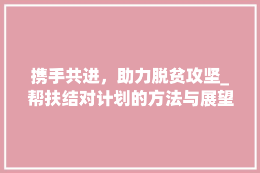 携手共进，助力脱贫攻坚_帮扶结对计划的方法与展望