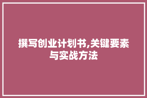 撰写创业计划书,关键要素与实战方法