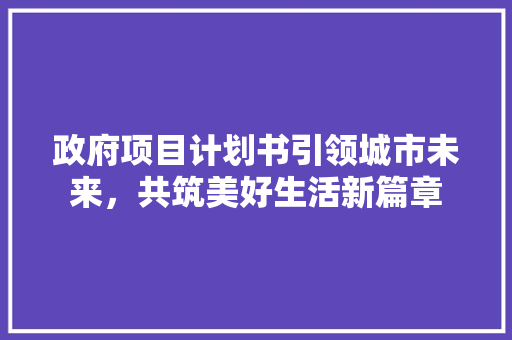 政府项目计划书引领城市未来，共筑美好生活新篇章