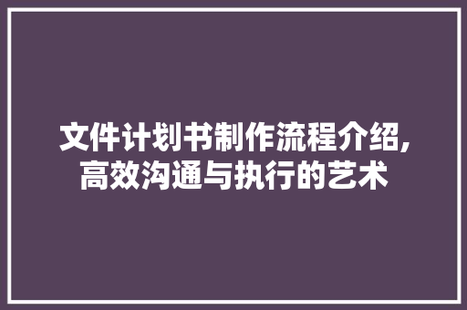 文件计划书制作流程介绍,高效沟通与执行的艺术