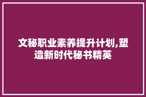 文秘职业素养提升计划,塑造新时代秘书精英