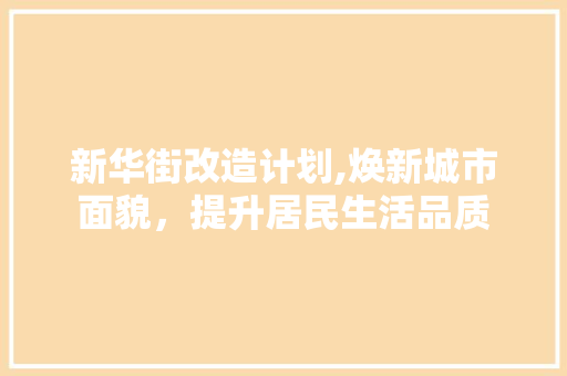 新华街改造计划,焕新城市面貌，提升居民生活品质 报告范文