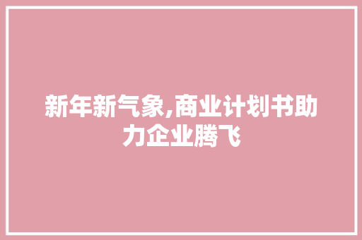 新年新气象,商业计划书助力企业腾飞