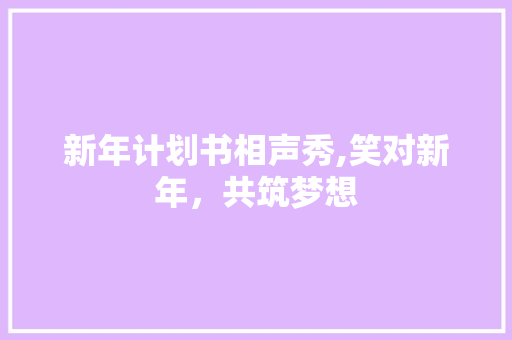 新年计划书相声秀,笑对新年，共筑梦想