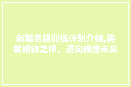 新疆男篮训练计划介绍,铸就钢铁之师，迈向辉煌未来