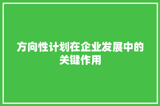 方向性计划在企业发展中的关键作用