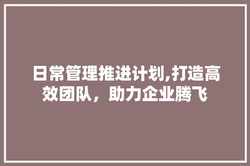 日常管理推进计划,打造高效团队，助力企业腾飞