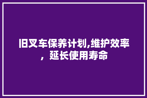 旧叉车保养计划,维护效率，延长使用寿命