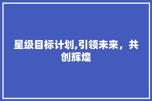 星级目标计划,引领未来，共创辉煌