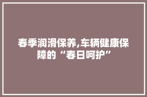 春季润滑保养,车辆健康保障的“春日呵护”