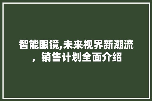 智能眼镜,未来视界新潮流，销售计划全面介绍