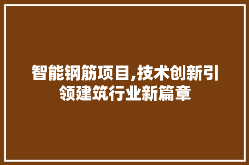 智能钢筋项目,技术创新引领建筑行业新篇章