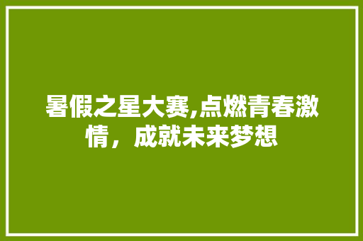 暑假之星大赛,点燃青春激情，成就未来梦想