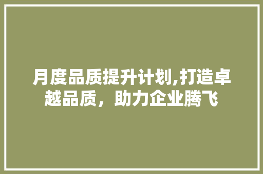 月度品质提升计划,打造卓越品质，助力企业腾飞