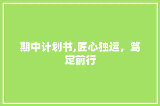 期中计划书,匠心独运，笃定前行