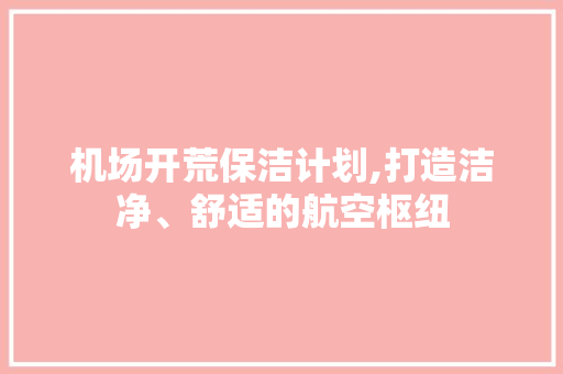 机场开荒保洁计划,打造洁净、舒适的航空枢纽