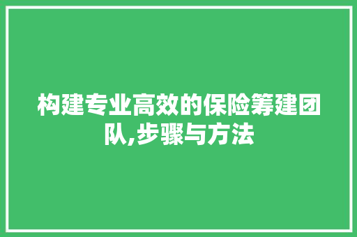 构建专业高效的保险筹建团队,步骤与方法