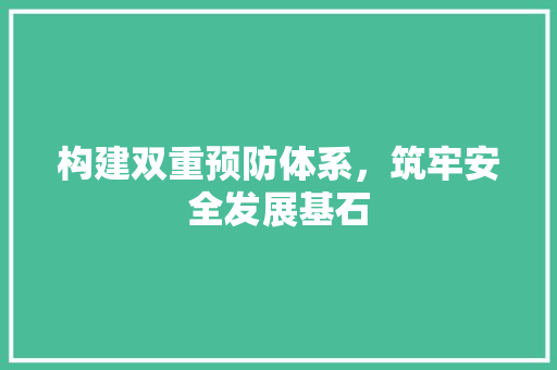 构建双重预防体系，筑牢安全发展基石