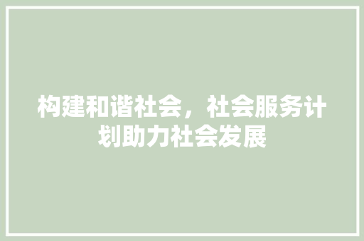 构建和谐社会，社会服务计划助力社会发展